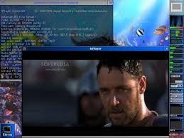 Image result for gabucino