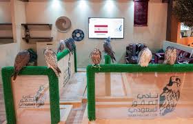 Image result for Falcon Sa Club