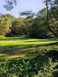 Image result for Wimbledon Common Golf Club