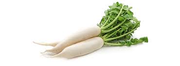 Image result for Rettich