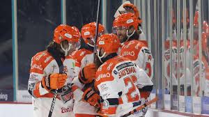 Image result for Sheffield Steelers