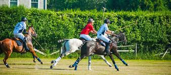 Image result for Cliff Hatch Stables