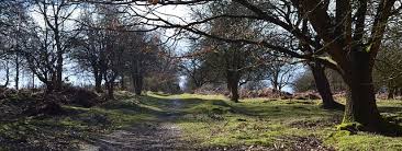 Image result for Audley Football Club