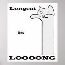 Image result for lulcatz