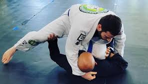 Image result for Intelligent Martial Arts