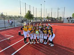 Image result for Cheetahs Softball Team