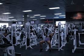 Image result for Pulse 220 Fitness Centre