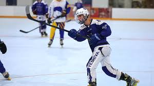 Image result for Walsall Roller Hockey Club