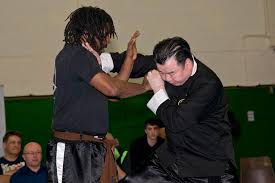 Image result for Salisbury Lau Gar Kung Fu Club