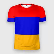 Image result for Футболка с флагом армении