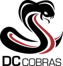 Image result for Cobra Badminton Club