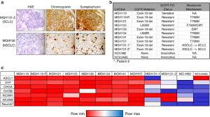 Image result for Cambridge N C I Cc