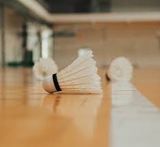 Image result for Meridians Badminton Club