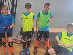 Image result for Sheffield Wildcats Rink Hockey and Roller Skating Club