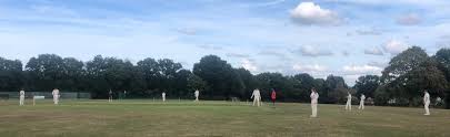 Image result for Effingham Cricket Club