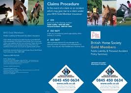 Image result for British Horse Society