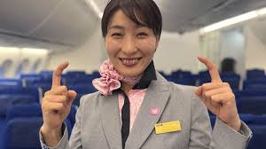 Image result for ana