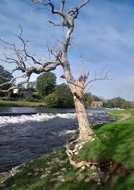 Image result for CENTRAL LANCASHIRE RAMBLING CLUB