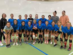 Image result for Rhinos Volleyball Club