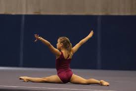 Image result for Arabian School Of Gymnastics