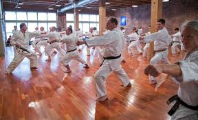 Image result for Excalibur Shotokan Karate Club