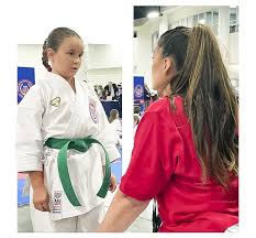 Image result for United Sport Karate