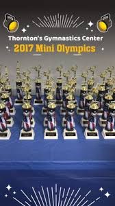 Image result for Thornton Sport Gymnastics