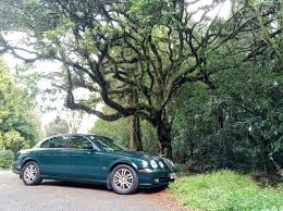 Image result for Jaguar Racing Green 2003 Jaguar