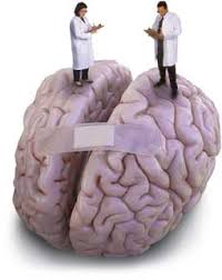 Controversial Causes of Autism