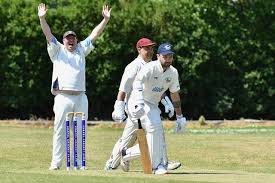 Image result for Tintwistle Cricket Club