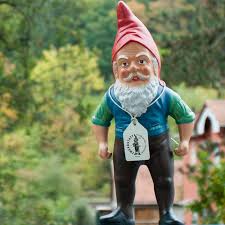 Image result for Gartenzwerg