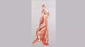 Image result for media res