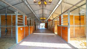 Image result for Carman Stables