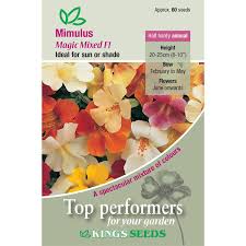 Image result for Mimulus x hybrida