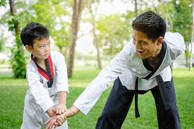 Image result for Championship Martial Arts Winter Springs