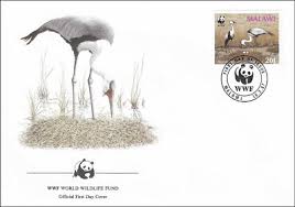 Attēlu rezultāti vaicājumam “Grus grus nest”