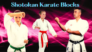 Image result for Shotokan Karate