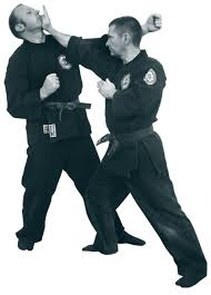 Image result for Central London Ninjutsu