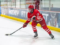 Image result for York University Taekwondo Club