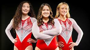 Image result for Norwich Gymnastics Club