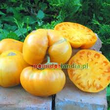 Afbeeldingsresultaat voor stump of the world tomato