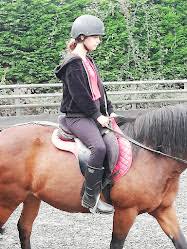 Image result for Palmers Riding Stables