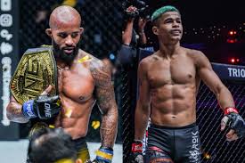 Image result for Chiltern MMA
