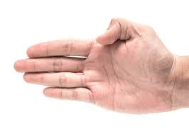 Znalezione obrazy dla zapytania palec