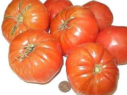 Afbeeldingsresultaat voor millionaire tomato