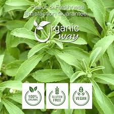 Image result for Stevia rebaudiana