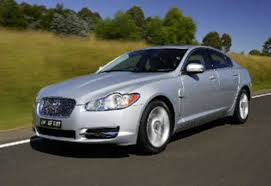 Image result for Silver Fox 2008 Jaguar
