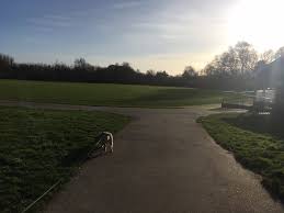 Image result for Hellingly Cricket Club