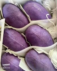 Attēlu rezultāti vaicājumam “Cinna latifolia fruit”