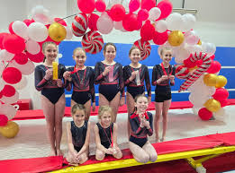 Image result for Haverfordwest Gymnastics Club
